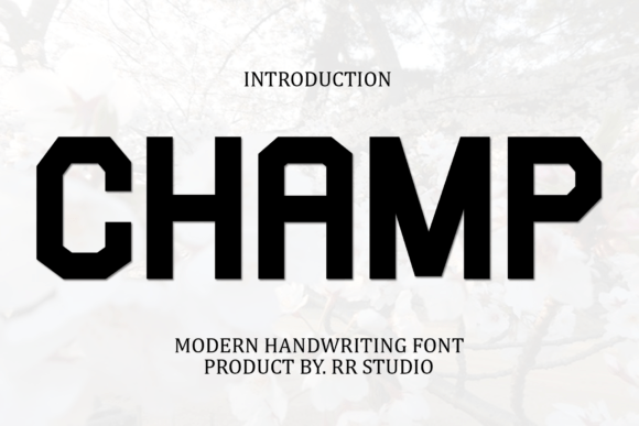 Champ: The Stylish Handwritten Script Font