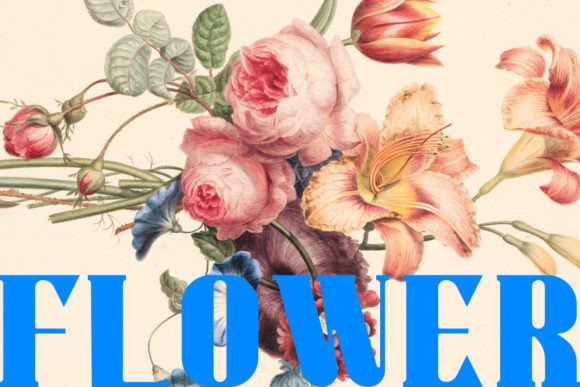 Warriot: Bold Retro Serif for Creative Design